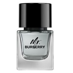 Mr. Burberry woda toaletowa spray 50ml