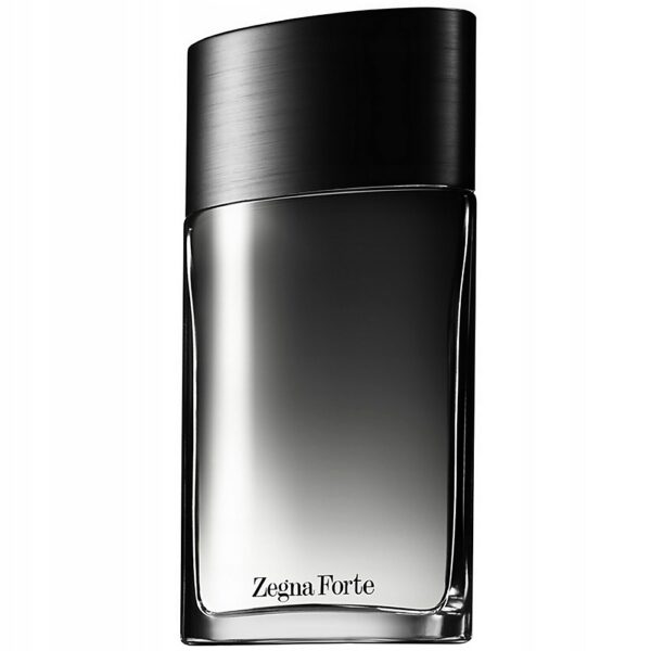 Ermenegildo Zegna Zegna Forte woda toaletowa spray 100ml Tester