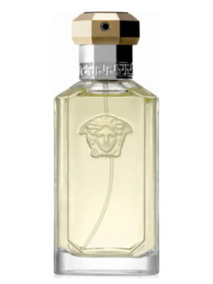 Versace The Dreamer edt 100 ml tester