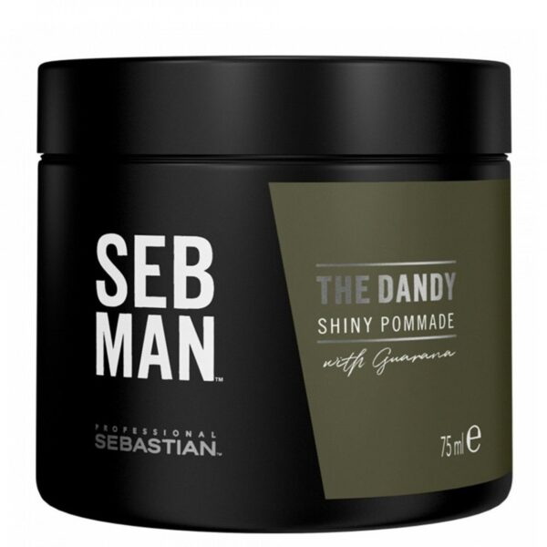 Sebastian Professional The Dandy Light Hold Pomade lekko utrwalająca pomada do włosów 75ml