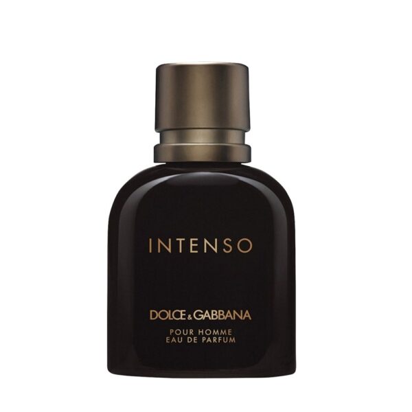 Dolce & Gabbana Intenso Pour Homme woda perfumowana spray 40ml