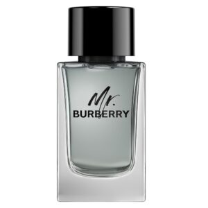 Mr. Burberry woda toaletowa spray 150ml