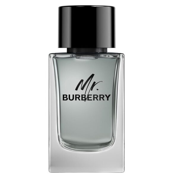 Mr. Burberry woda toaletowa spray 150ml