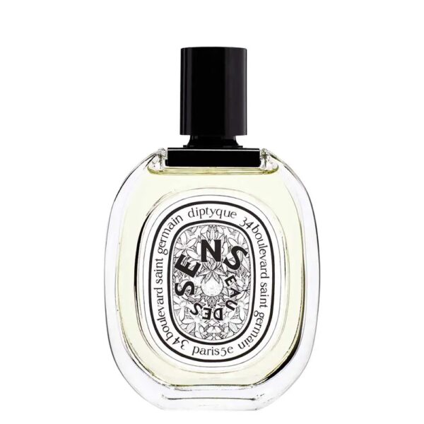 Diptyque Vetyverio woda toaletowa spray 100ml