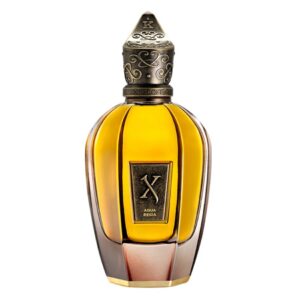 Xerjoff Aqua Regia perfumy spray 100ml Tester